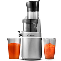 1 x RAW Customer Returns Juicer AOBOSI-Slow Juicer with Reverse Crush-Juicer vegetables and fruit test winner with brush and 2 cups-200W multifunctional electric juicer, fruit press. - RRP €161.34