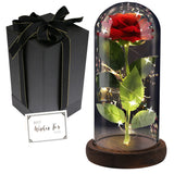 2 x RAW Customer Returns FAYODO Beauty and the Beast Eternal Rose, Red Galaxy Rose Gift for Mom, Rose in A Glass Dome with LED Light Wooden Base for Girlfriend Wife on Mother s Day Birthday Valentine s Day Anniversary - RRP €45.98