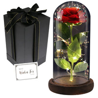 1 x RAW Customer Returns FAYODO Beauty and the Beast Eternal Rose, Red Galaxy Rose Gift for Mom, Rose in A Glass Dome with LED Light Wooden Base for Girlfriend Wife on Mother s Day Birthday Valentine s Day Anniversary - RRP €22.99