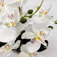 1 x RAW Customer Returns Aisamco 1pc Artificial Orchid Flowers with White Pot Fake Plastic Phalaenopsis Flowers with Pot Artificial Flower for Home Wedding Office Decoration - RRP €17.99