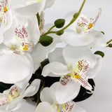 1 x RAW Customer Returns Aisamco 1pc Artificial Orchid Flowers with White Pot Fake Plastic Phalaenopsis Flowers with Pot Artificial Flower for Home Wedding Office Decoration - RRP €17.99