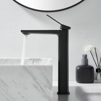 1 x RAW Customer Returns Bathroom faucet - faucet bathroom single-lever washbasin mixer, black matt, high faucet spout - RRP €64.54