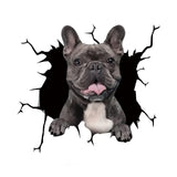 16 x Brand New zhushuGG Dog Car Sticker - Frenchie Bulldog Sticker for Wall 30CM, Refrigerator 3D Sticker, 3D Car Sticker Dog Wall Sticker Funny Decoration Styling Cute Dog Decal E, 11.8 x 11.8 inches  - RRP €326.4