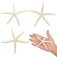 1 x RAW Customer Returns Jangostor 12pcs Starfish 5-15cm Mixed Starfish Natural Shells Starfish Star Fish Shells Decorations Perfect for Wedding Decor Beach Theme Party, Home Decorations, DIY Crafts - RRP €12.99