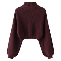 1 x RAW Customer Returns ZAFUL Elegant long-sleeved winter sweater with ribbed structure, Wine red., S - RRP €36.99