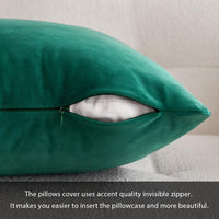 1 x RAW Customer Returns MIULEE Set of 2 VELVET Cushion Covers Pillow Case Decorative Throw Pillows Sofa Cushions Lumbar Cushions Throw Pillow Cover with Hidden Zipper Sofa Bedroom 12x20 Inch 30x50 cm Malachite Green - RRP €13.99