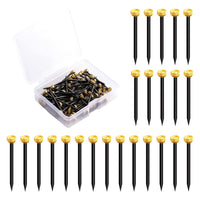 2 x Brand New 100 pieces picture nails steel nails nails pictures hanging brass head steel nails hanging nails brass head pins with plastic box for wall mounting - RRP €48.0