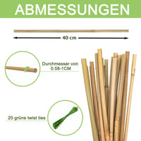 1 x RAW Customer Returns HOUNANG Bamboo Sticks 40CM - 20 pieces Plant support, plant sticks for indoor and outdoor use Natural bamboo for supporting flowers, vegetables and beans Professional plant stick - RRP €10.99