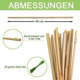 1 x RAW Customer Returns HOUNANG Bamboo Sticks 40CM - 20 pieces Plant support, plant sticks for indoor and outdoor use Natural bamboo for supporting flowers, vegetables and beans Professional plant stick - RRP €10.99