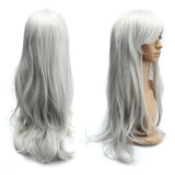 1 x RAW Customer Returns Dazone 70cm Carnival Wig Gray. Long full cosplay, curly wavy fashion costumes women s hairpiece wig for everyday life, party, Halloween, Christmas - RRP €16.13