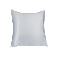 1 x RAW Customer Returns LULUSILK Pillowcase, 100 Pure Silk, 16 Momme, with Concealed Zipper, Gentle on Skin and Hair, 1 Piece 80 x 80 cm Gris Plateado - RRP €40.33