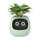 1 x RAW Customer Returns Masdio Smart Flowerpots, with Artificial Intelligence, Time Temperature Display, and Numerous Expressive Animations Based On The Environment, for Interior Decoration Green  - RRP €99.99