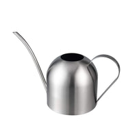 1 x RAW Customer Returns IMEEA 1L watering can, brushed stainless steel flower watering can with long spout, plant watering can, irrigation for indoor plants, bonsai in the office, home silver  - RRP €26.21