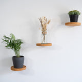 1 x RAW Customer Returns HomeBucket wooden wall shelf round living room decoration modern real wood plants wall mount floating shelf small set of 3 shelves for the wall for a flower pot or a vase beautiful wall decoration light  - RRP €27.22