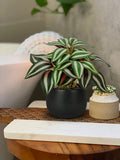 1 x RAW Customer Returns Briful set of 3 artificial plants, like real artificial houseplants, decorative plants for living room, bathroom decoration, height approx. 15 cm, in a black ceramic pot - RRP €24.19