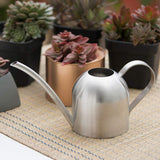 1 x RAW Customer Returns VIFERR Stainless Steel Watering Can - 1000ml Small Watering Can with Long Spout, Houseplant Watering Can Flower Watering Can Mini Bonsai Watering Can for Office Home Balcony Garden Plants Silver  - RRP €26.21