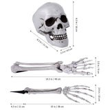 1 x RAW Customer Returns EXCEART Skeleton Bones and Skull Plastic Creepy Fake Skeleton for Halloween Decor Props Cemetery Floor Decor Halloween Skeleton with Movable Joints - RRP €23.8