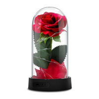 7 x Brand New GUCHO Beauty and the Beast rose, enchanted red silk rose, eternal rose, with fairy lights, fallen petals, Mother s Day gifts, Valentine s Day gift - RRP €210.0