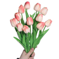 4 x Brand New huaao 12pcs Artificial Tulips Real Touch Latex Fake Tulips Flowers Bouquets Arrangement for Wedding Bouquet Party Centerpiece Decor, Champagne - RRP €61.72