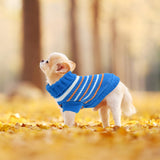 1 x RAW Customer Returns Sweater for Small Dogs, Knitted Sweater for Puppy, Warm Puppy Sweater, Striped Winter Turtleneck Sweater for Welsh Corgi Cat, Yorkshire Terrier, Chihuahua XXL, Blue  - RRP €7.88