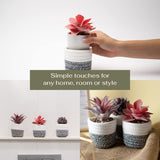 1 x Brand New VIVERIE Artificial Succulents in Plant Pots for Boho Home Decor, Set of 3 - Artificial Plants with Removable Basket for Stationery and Makeup Holder - Boho Room Decor - RRP €25.2