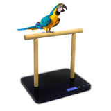 1 x RAW Customer Returns Digital bird scale with perch, bird scale gram, max. 20 kg, capacity with precision up to 1 g, black, suitable for parrots and all kinds of birds - RRP €69.0