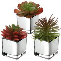 1 x RAW Customer Returns 3PCS Succulents Artificial Plant Decorative Plant in Glass Pot Decorative Mini Succulents Houseplant for Bathroom Balcony Bedroom Living Room Desk Decoration - RRP €29.7