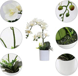 1 x RAW Customer Returns Olrla 43cm White Artificial Orchid Flower in White Pot, Artificial Flower Phalaenopsis with Planter for Home, Office, Wedding Decoration - RRP €23.59