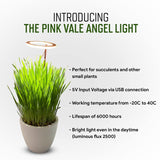 27 x Brand New Pink Vale - Grow Light for Indoor Plants One or Two Rings - USB Powered, White Light One Ring  - RRP €593.46