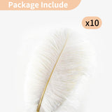 1 x RAW Customer Returns Nuptio Pack of 10 Large Natural Ostrich Feathers 30-35cm for Home Wedding Party Decoration - RRP €16.62