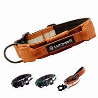 1 x RAW Customer Returns teamwalk Premium dog collar - with magnetic handle, luminous strip, air tag pocket, individually adjustable, soft padding, robust buckle, available with matching leash rust red, M  - RRP €42.99