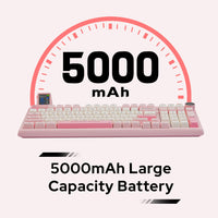 1 x RAW Customer Returns EPOMAKER RT100 Mechanical Keyboard Gasket with Customizable Display, Bluetooth 2.4G USB, Rotary Switch, Hot Swap, 5000mAh Battery, RGB for Win Mac Gaming Pink US QWERTY , Epomaker Flamingo Switch  - RRP €143.99