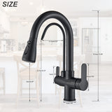 1 x RAW Customer Returns Onyzpily Pure Water Kitchen Faucet with Pull Out Double Handle Hot and Cold Drinking Water 3 Way Filter Kitchen Mixer Taps Black - RRP €75.64