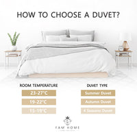 1 x RAW Customer Returns FAM Home - Duvet 135 x 200 cm, 4 Seasons, Consisting of 2 Buttoned Blankets, Anti-Allergy, for Allergy Sufferers, Summer Blanket 150 g m and Autumn Blanket 250 g m  - RRP €34.62