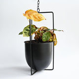 1 x RAW Customer Returns Smaxcn Hanging Flower Basket,Hanging Decorative Pot Metal Bolo Flower Basket,Indoor and Outdoor Use Black  - RRP €26.89