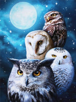 23 x Brand New Nicole Knupfer DIY 5D Diamond Painting Diamond Owl Embroidery Rhinestone Pasted Painting Cross Stitch DIY Cross Stitch Home Decor Decoration 8.30 x 40 cm  - RRP €469.2