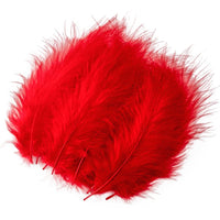 1 x RAW Customer Returns 200pcs Fluffy Marabou Feathers for Dream Catcher 4-6 inch Red Feathers for Crafts Dream Catcher Fringe Border Colored Feathers Accessories Pack - RRP €12.26