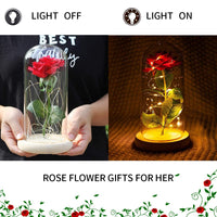 2 x RAW Customer Returns Beauty and the Beast Rose, Forever Red Rose with Light Enchanted Silk Rose in Dome, Never Fade Rose Gift for Mother s Day, Anniversary, Birthday, Valentine s Day, Room Decoration - RRP €45.98