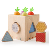 1 x RAW Customer Returns Mamimami Home Montessori wooden toy from 1 2 3 years, carrot plug-in game, wooden motor skills cube toy for children, boys and girls, sensory sorting game, shape sorter, learning toy gift - RRP €17.95