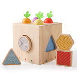 1 x RAW Customer Returns Mamimami Home Montessori wooden toy from 1 2 3 years, carrot plug-in game, wooden motor skills cube toy for children, boys and girls, sensory sorting game, shape sorter, learning toy gift - RRP €17.95