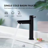 1 x RAW Customer Returns Aihom Cold Water Tap Black Bathroom Small Bathroom Tap Chrome Single Lever Tap Cold Water Tap Sink Tap Basin Tap for Bathroom Guest Toilet - RRP €32.99