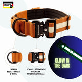 1 x RAW Customer Returns teamwalk Premium dog collar - with magnetic handle, luminous strip, air tag pocket, individually adjustable, soft padding, robust buckle, available with matching leash rust red, M  - RRP €42.99