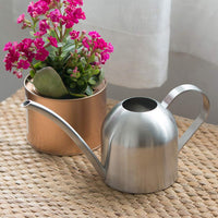 1 x RAW Customer Returns VIFERR Stainless Steel Watering Can - 1000ml Small Watering Can with Long Spout, Houseplant Watering Can Flower Watering Can Mini Bonsai Watering Can for Office Home Balcony Garden Plants Silver  - RRP €26.21