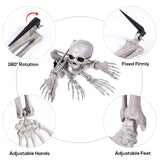 1 x RAW Customer Returns EXCEART Skeleton Bones and Skull Plastic Creepy Fake Skeleton for Halloween Decor Props Cemetery Floor Decor Halloween Skeleton with Movable Joints - RRP €23.8