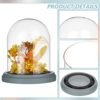 1 x RAW Customer Returns NBEADS 12.5x14 cm glass dome lid, decorative dome cover cloche bell pot terrarium with wooden base for Christmas decoration - RRP €20.4