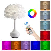 1 x RAW Customer Returns KEAGAN table lamps, LED touch table lamps, remote dimming light, RGB color change, feather table lamp, suitable for decorating living rooms, bedrooms, bars and restaurants - RRP €18.84