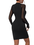 1 x RAW Customer Returns GORGLITTER Women s Figure-hugging Dress Mesh Sleeve Mini Dress Pencil Dress Long Sleeve Tight Casual Dress Black S - RRP €27.22