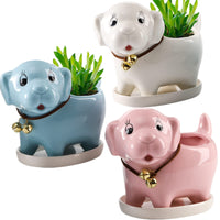 4 x Brand New ZOOFOX Set of 3 Cute Dog Flower Pots for Succulents with Drainage Tray, 13cm Ceramic Cactus Flower Pot, Small Bonsai Containers for Home Office Garden Decoration White, Blue and Pink  - RRP €81.6