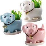 4 x Brand New ZOOFOX Set of 3 Cute Dog Flower Pots for Succulents with Drainage Tray, 13cm Ceramic Cactus Flower Pot, Small Bonsai Containers for Home Office Garden Decoration White, Blue and Pink  - RRP €81.6