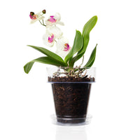 1 x RAW Customer Returns Kalapanta - Transparent Plastic Orchid Pot with Drainage Holes and Saucer 3, 16 cm , Indoor and Outdoor Pot, Product Made in Italy - RRP €31.9